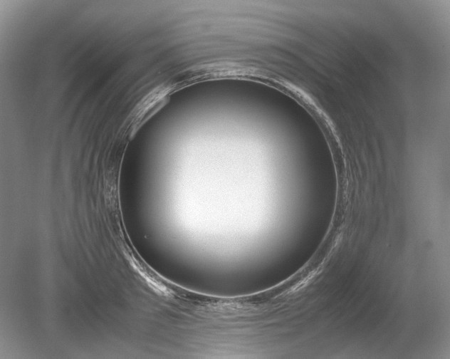 X0000078880897200611271324