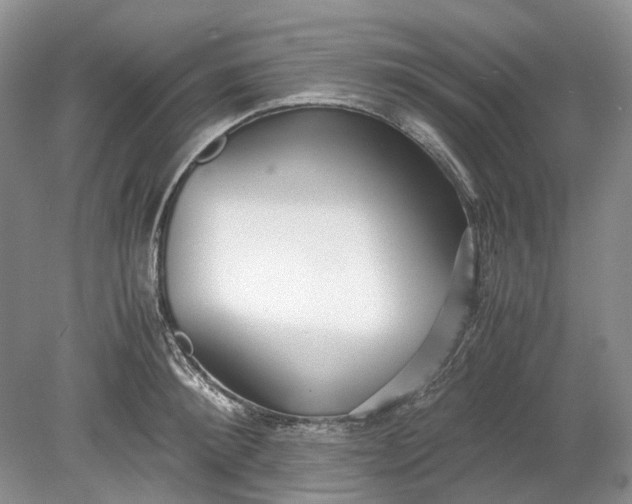 X0000078880900200611271324