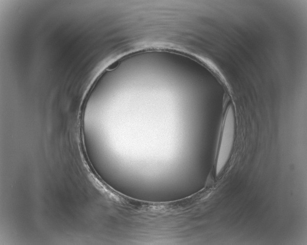 X0000078880903200611271324