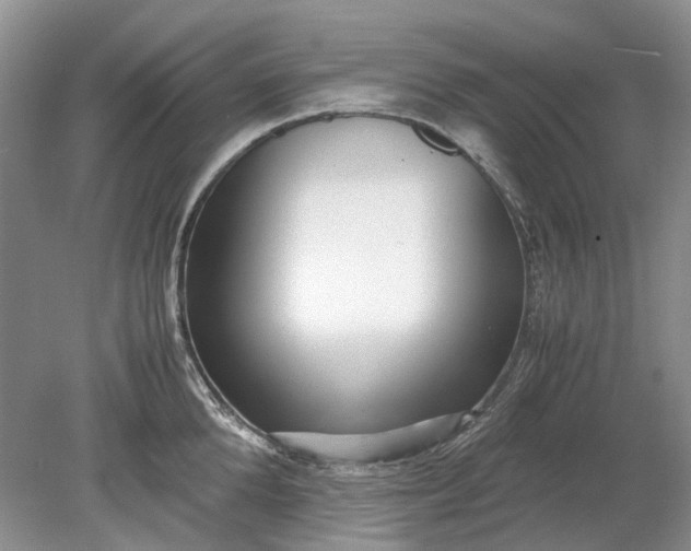X0000078880904200611271324