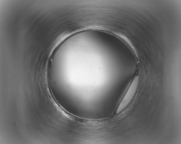 X0000078880910200611271323