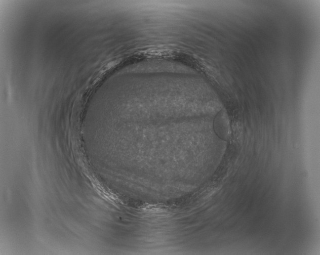 X0000078880913200611271323