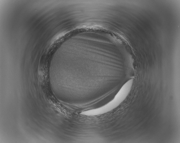 X0000078880920200611271323