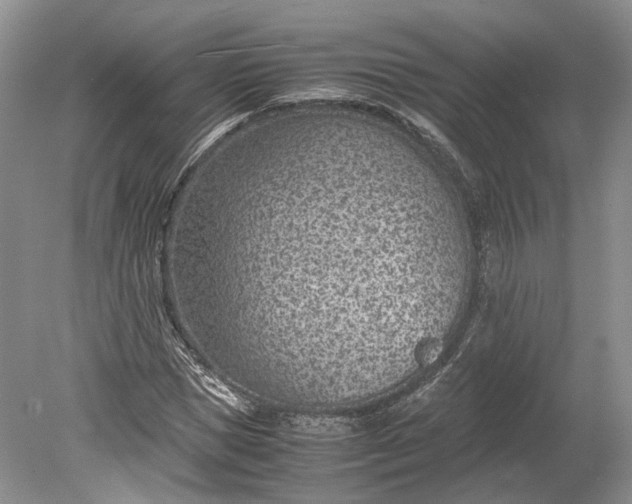 X0000078880921200611271323