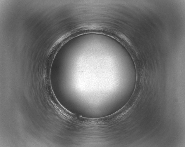 X0000078880922200611271323