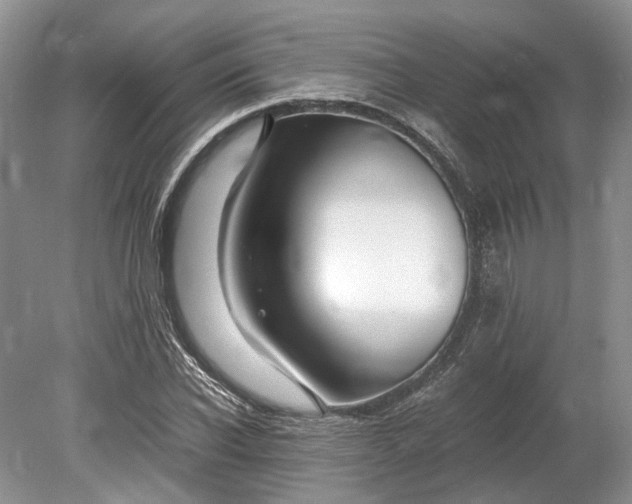 X0000078880926200611271323