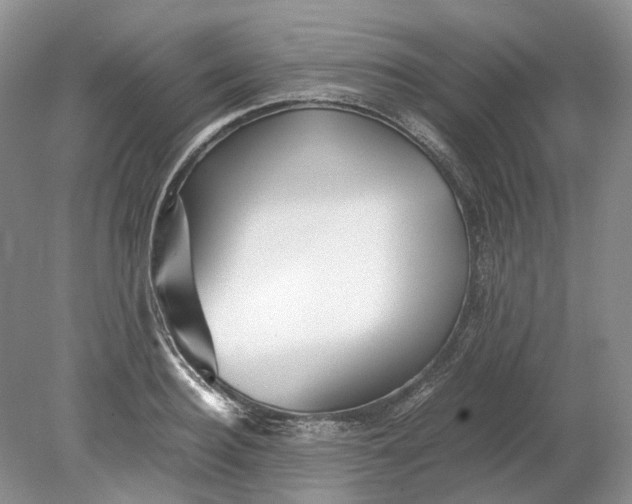 X0000078880940200611271323
