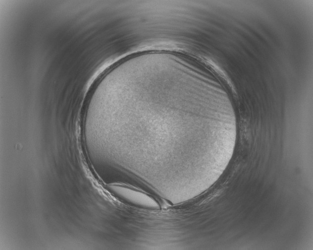 X0000078880944200611271323