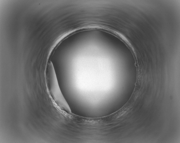 X0000078880951200611271323