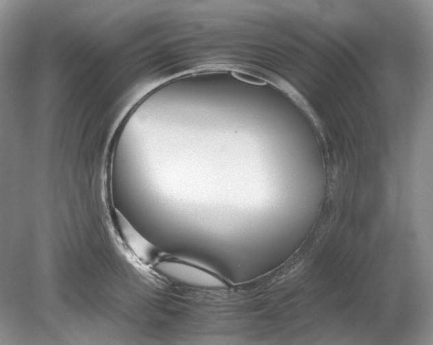 X0000078880955200611271323