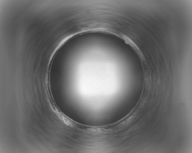 X0000078880956200611271323