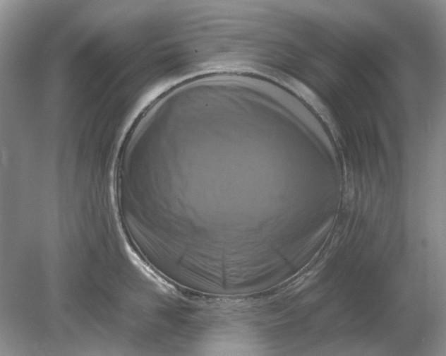 X0000078880958200611271323