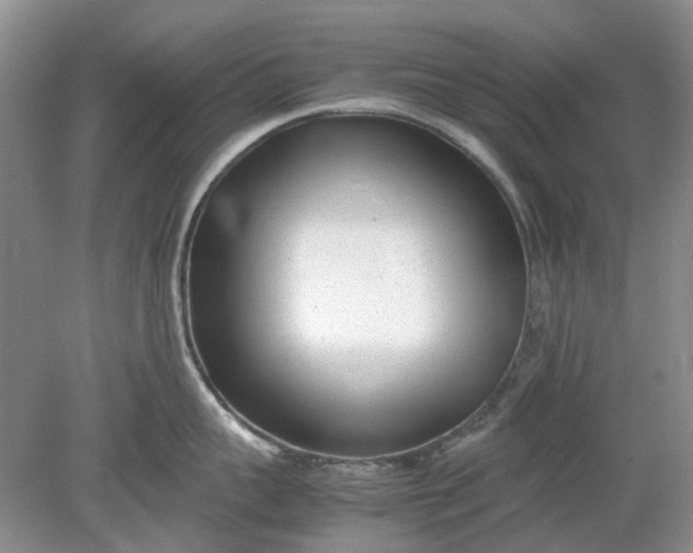 X0000078880959200611271323