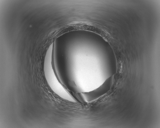 X0000078880965200611271323