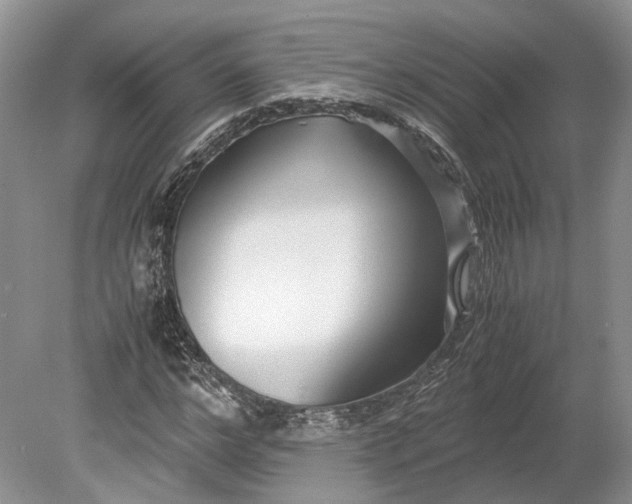 X0000078880968200611271322
