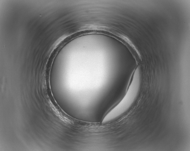 X0000078880972200611271322