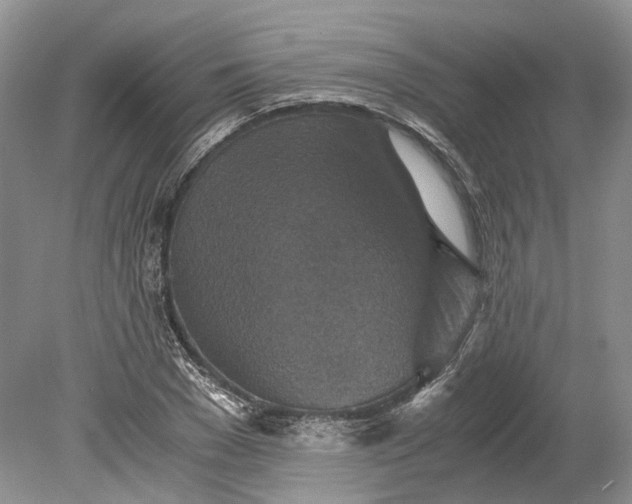X0000078880977200611271322