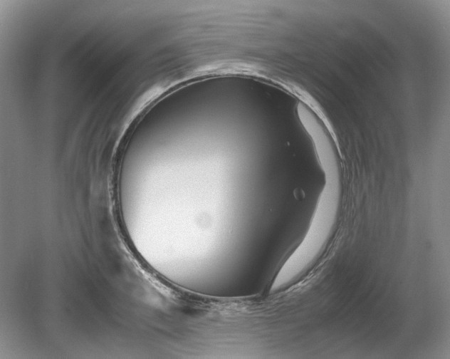 X0000078880997200611271322