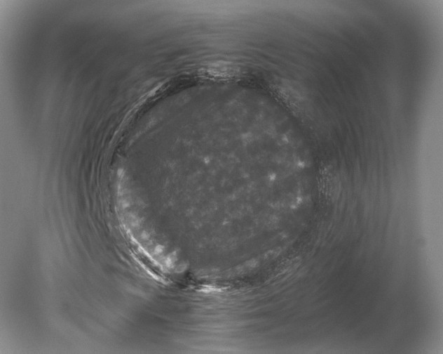 X0000078881009200611271321