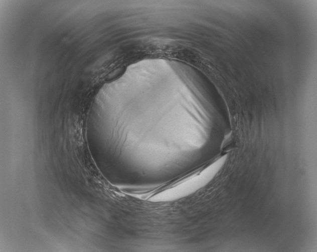 X0000078881013200611271321