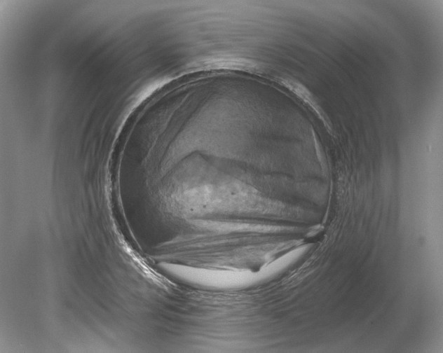 X0000078881024200611271321