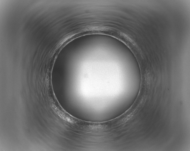 X0000078881025200611271321
