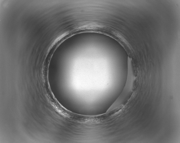 X0000078881026200611271321