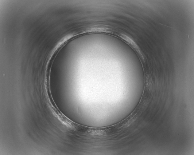 X0000078881043200611271322