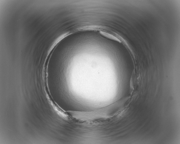 X0000078881050200611271322