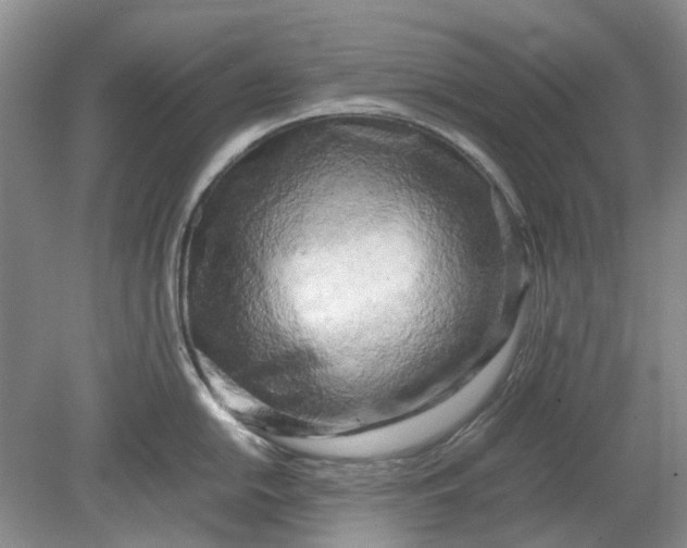 X0000078881054200611271322