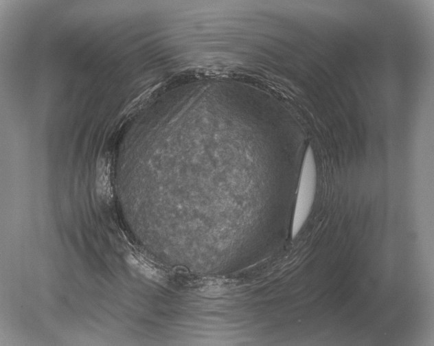 X0000078881060200611271321