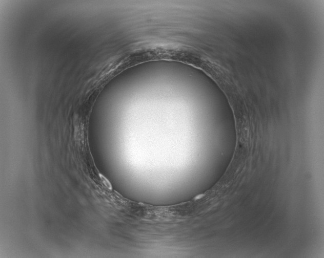 X0000078881061200611271321