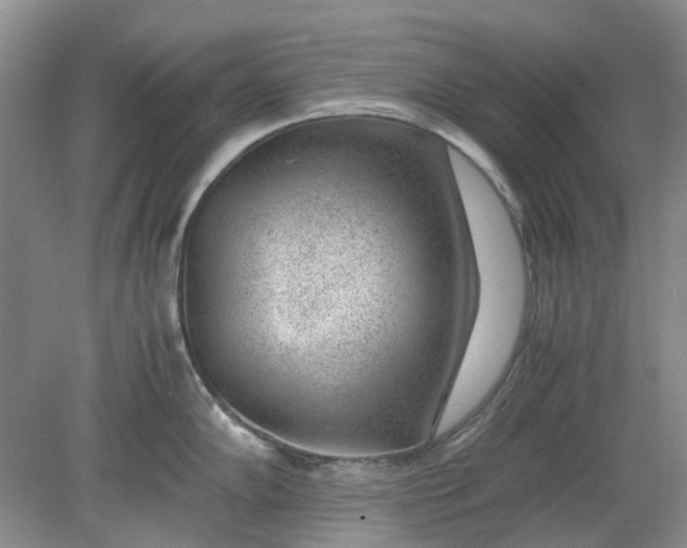 X0000078881102200611271320