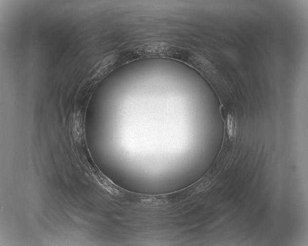 X0000078881107200611271319