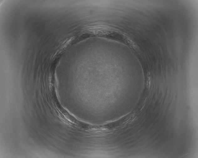 X0000078881108200611271319