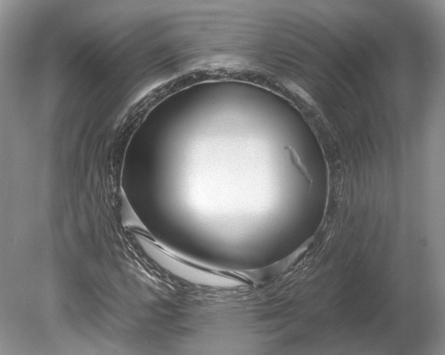 X0000078881112200611271319
