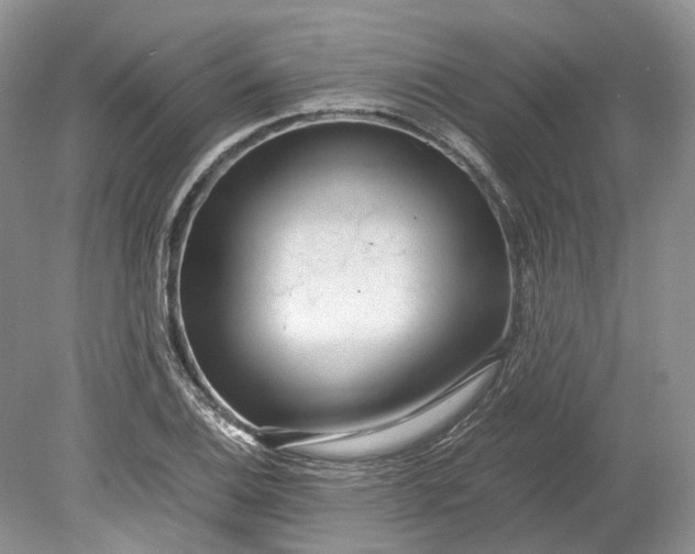 X0000078881124200611271320