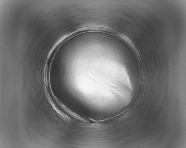 X0000078881128200611271320