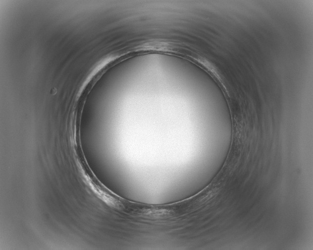 X0000078881131200611271320