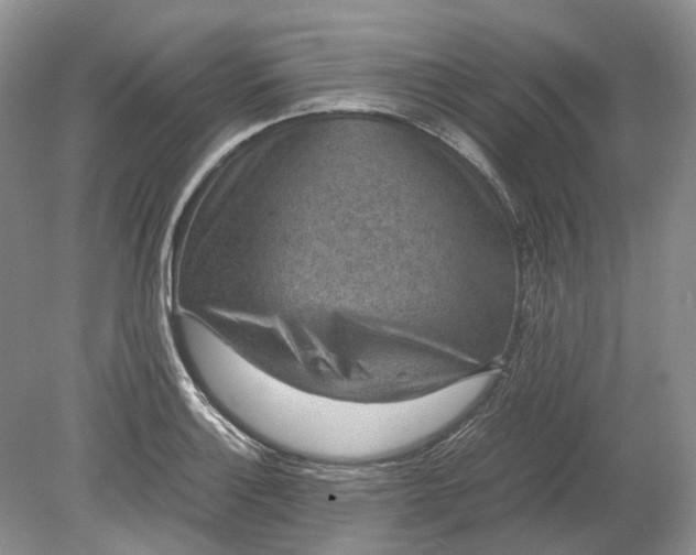X0000078881132200611271320