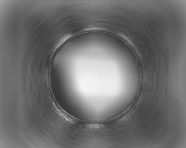 X0000078881137200611271320