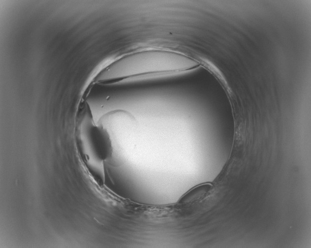 X0000078881146200611271320