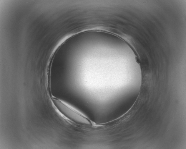 X0000078881151200611271320
