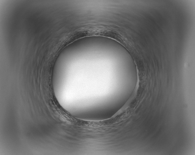 X0000078881153200611271319