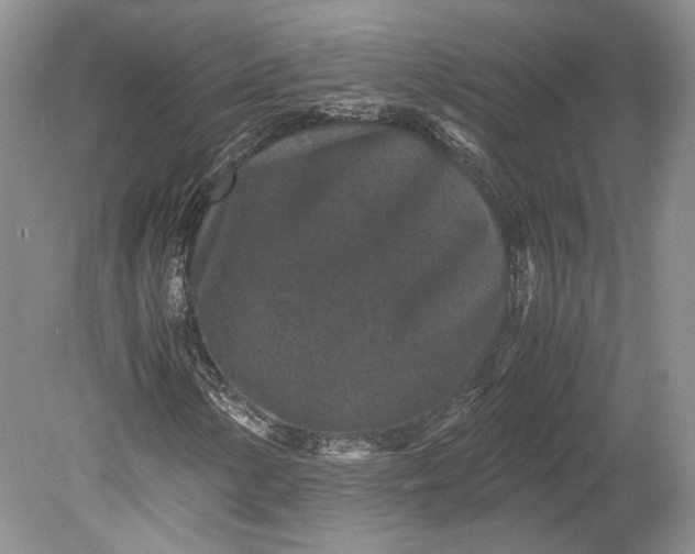 X0000078881154200611271319