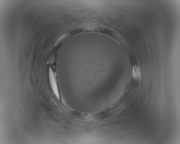 X0000078881155200611271319