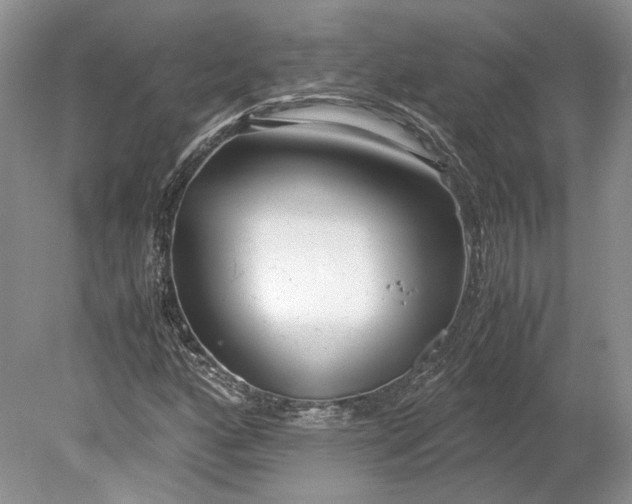 X0000078881160200611271319