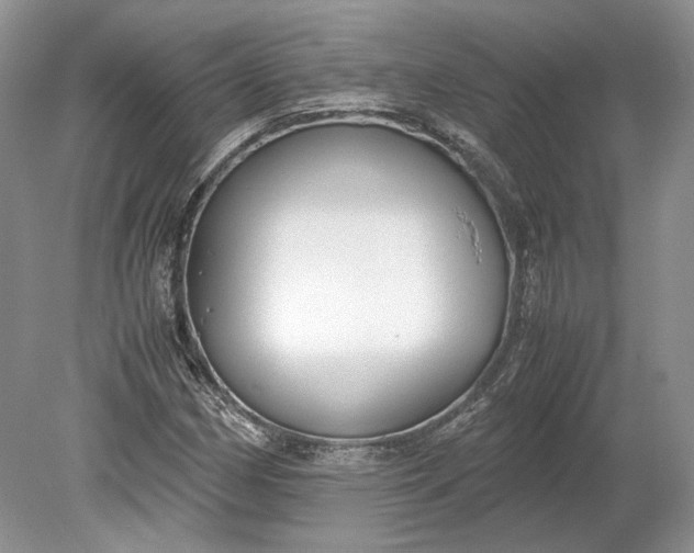 X0000078881162200611271319