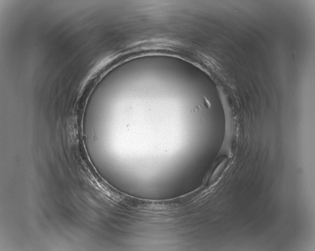 X0000078881164200611271319