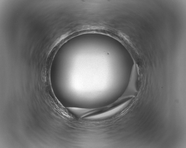 X0000078881165200611271319